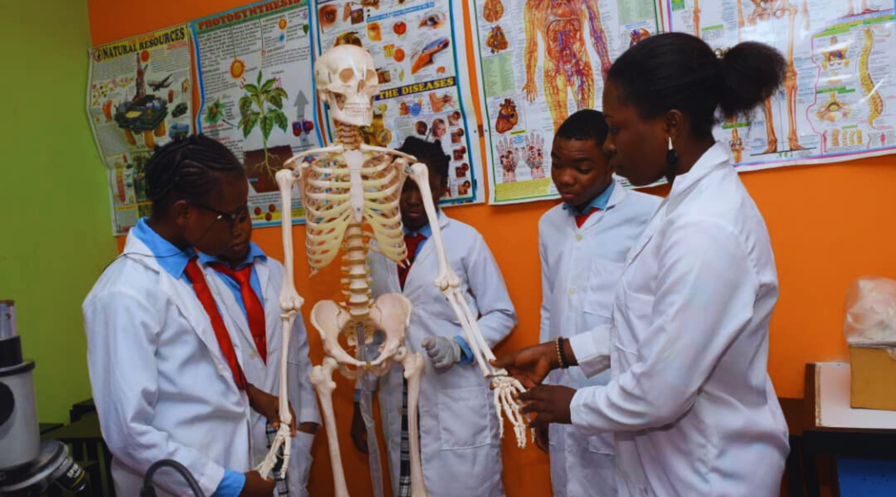 tredams schools (10)